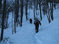02_Si sale nel fitto bosco